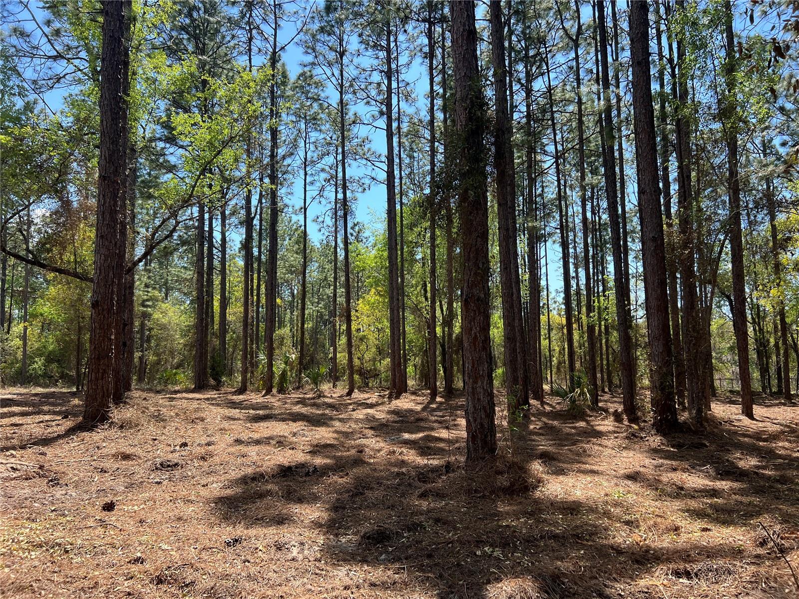 Image 19 of 28 For 24 130 Court