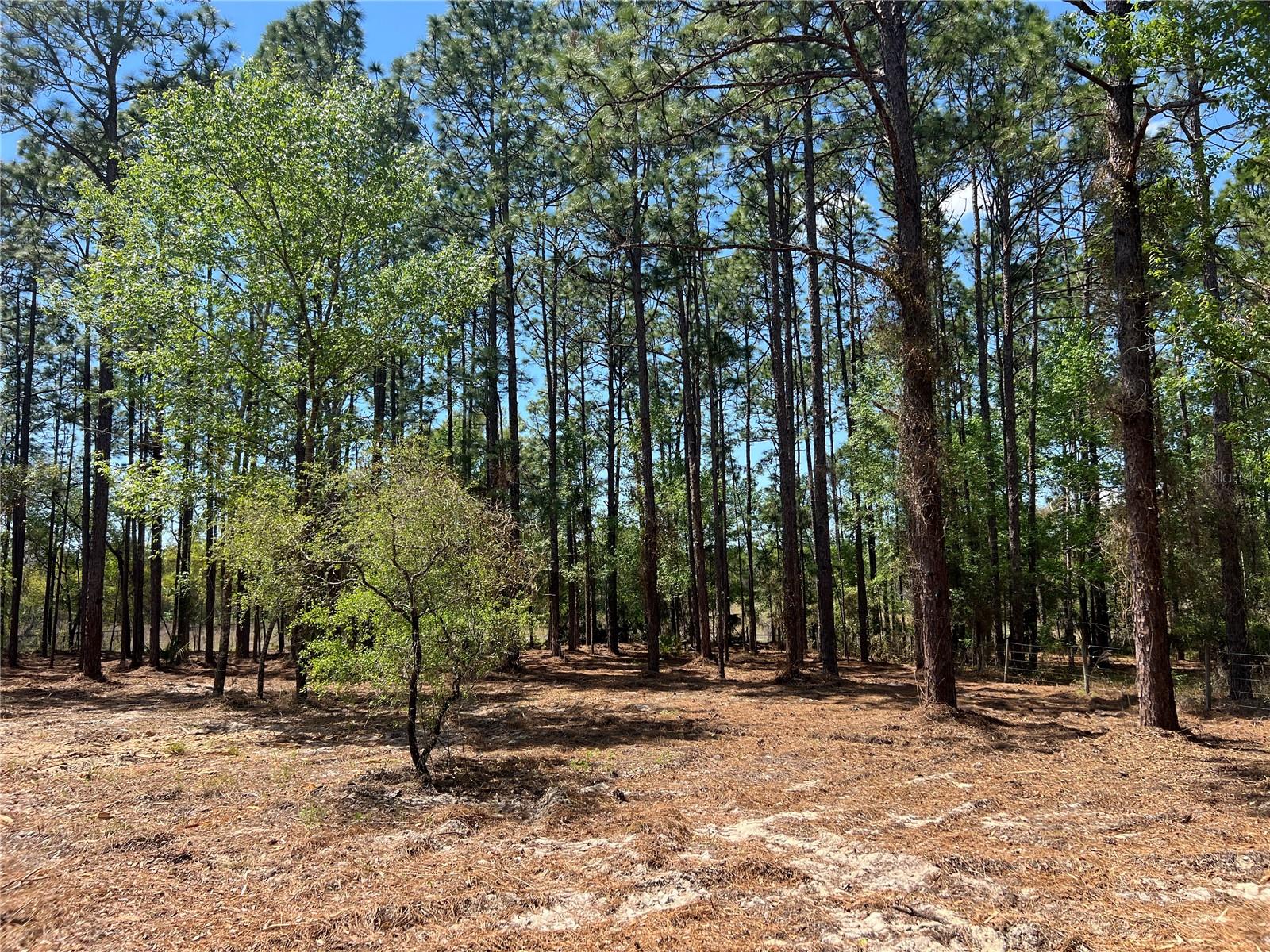 Image 2 of 28 For 24 130 Court