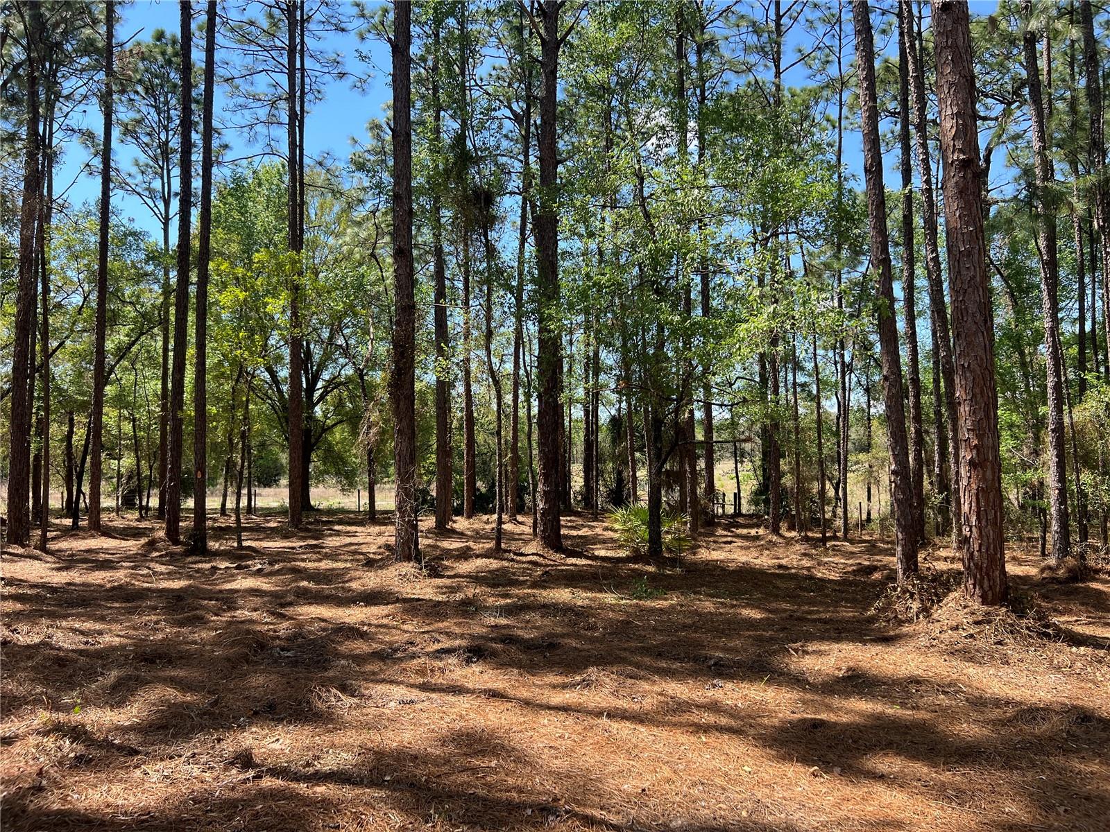 Image 20 of 28 For 24 130 Court