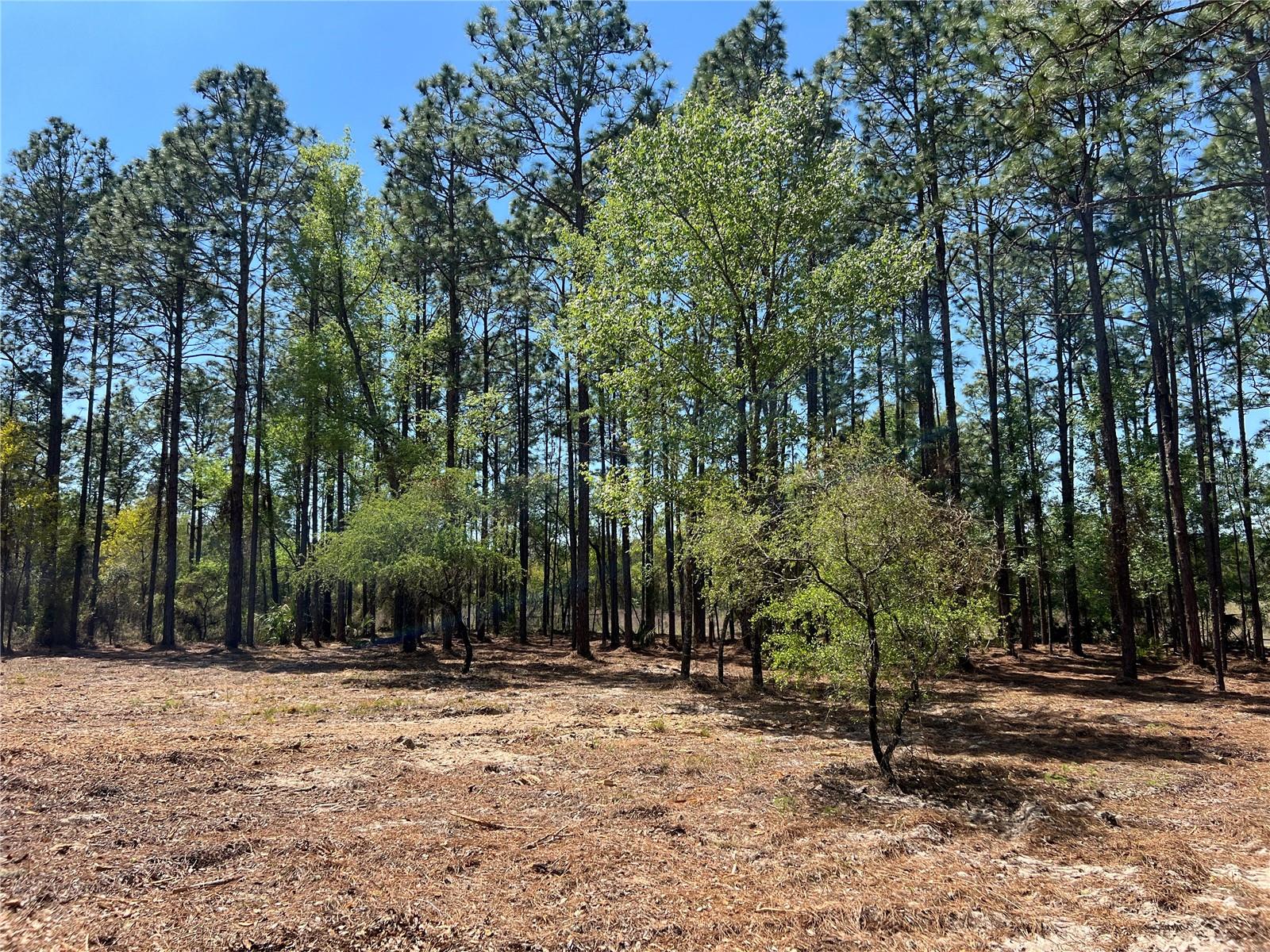 Image 21 of 28 For 24 130 Court