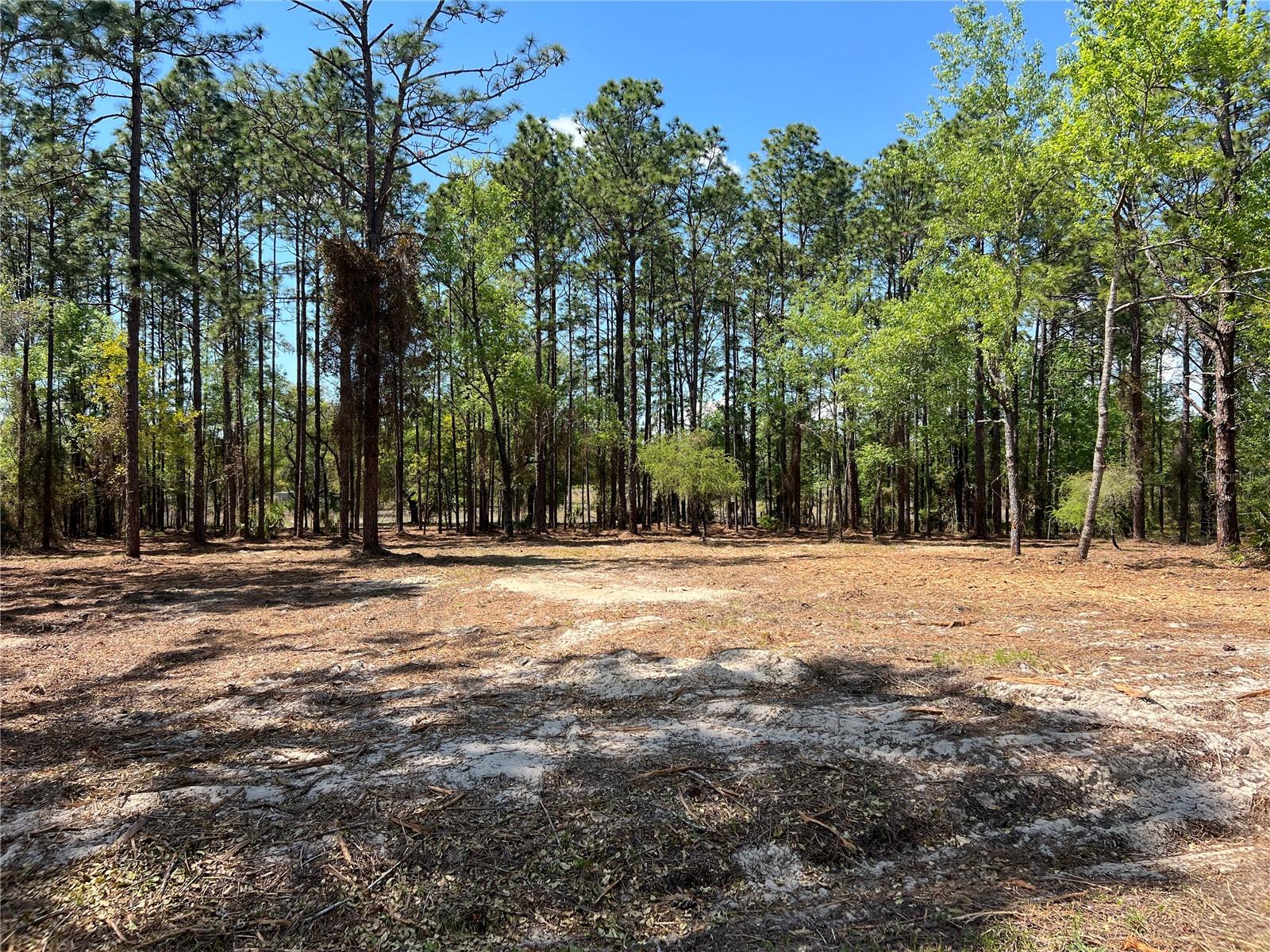 Image 4 of 28 For 24 130 Court