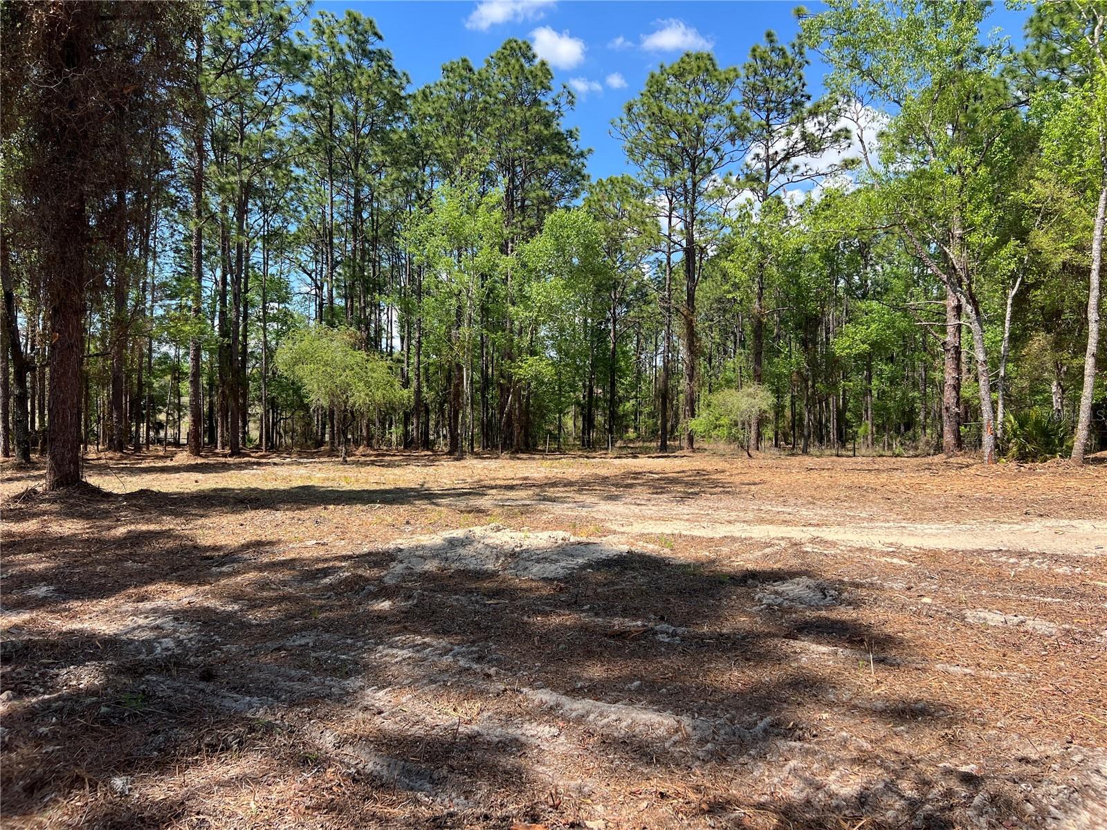 Image 6 of 28 For 24 130 Court