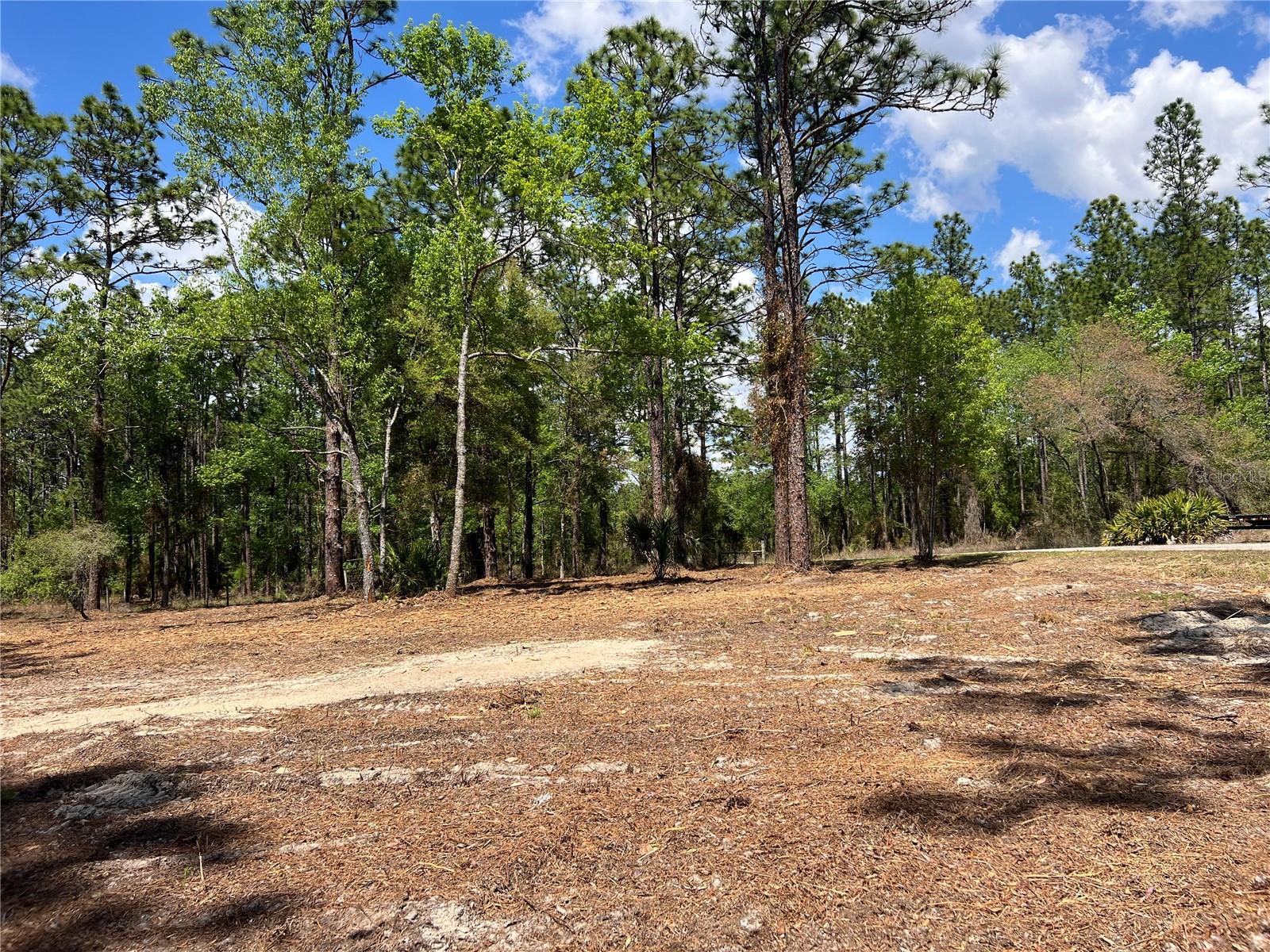 Image 7 of 28 For 24 130 Court