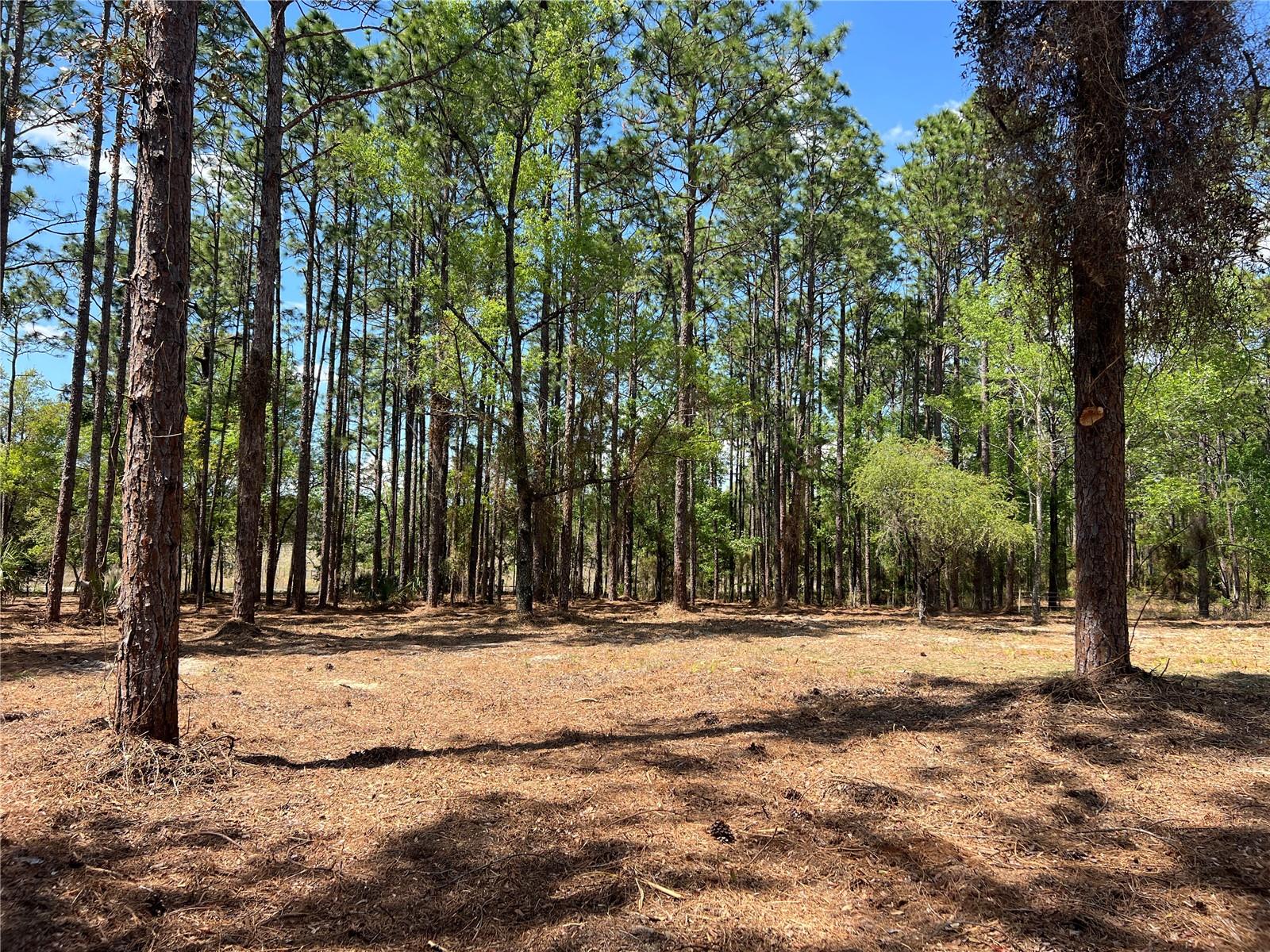 Image 8 of 28 For 24 130 Court