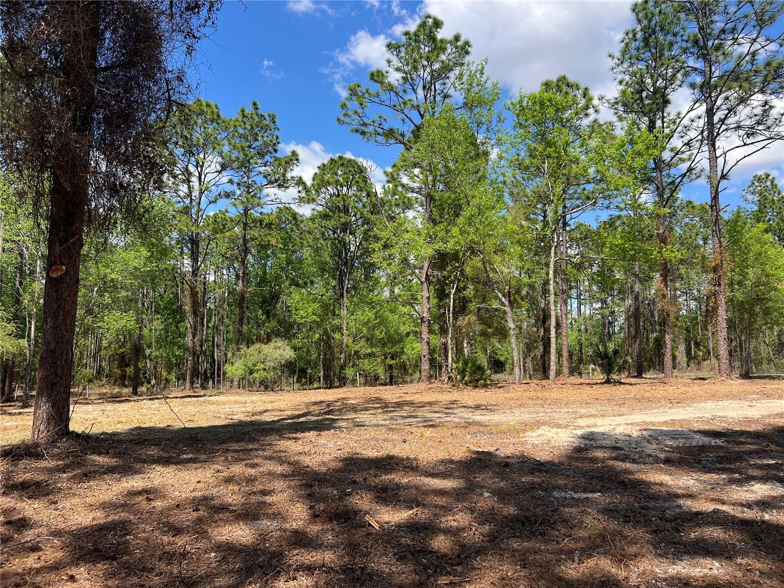 Image 9 of 28 For 24 130 Court