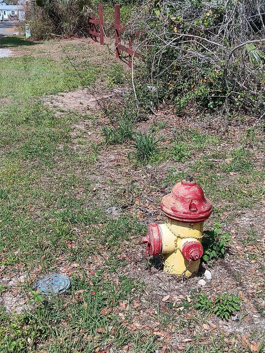 Image 7 of 12 For 17195 70th Street