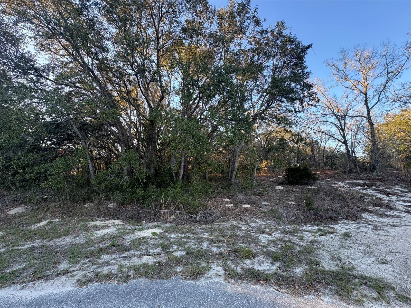 Details for 0 147th Street Road, OCALA, FL 34473
