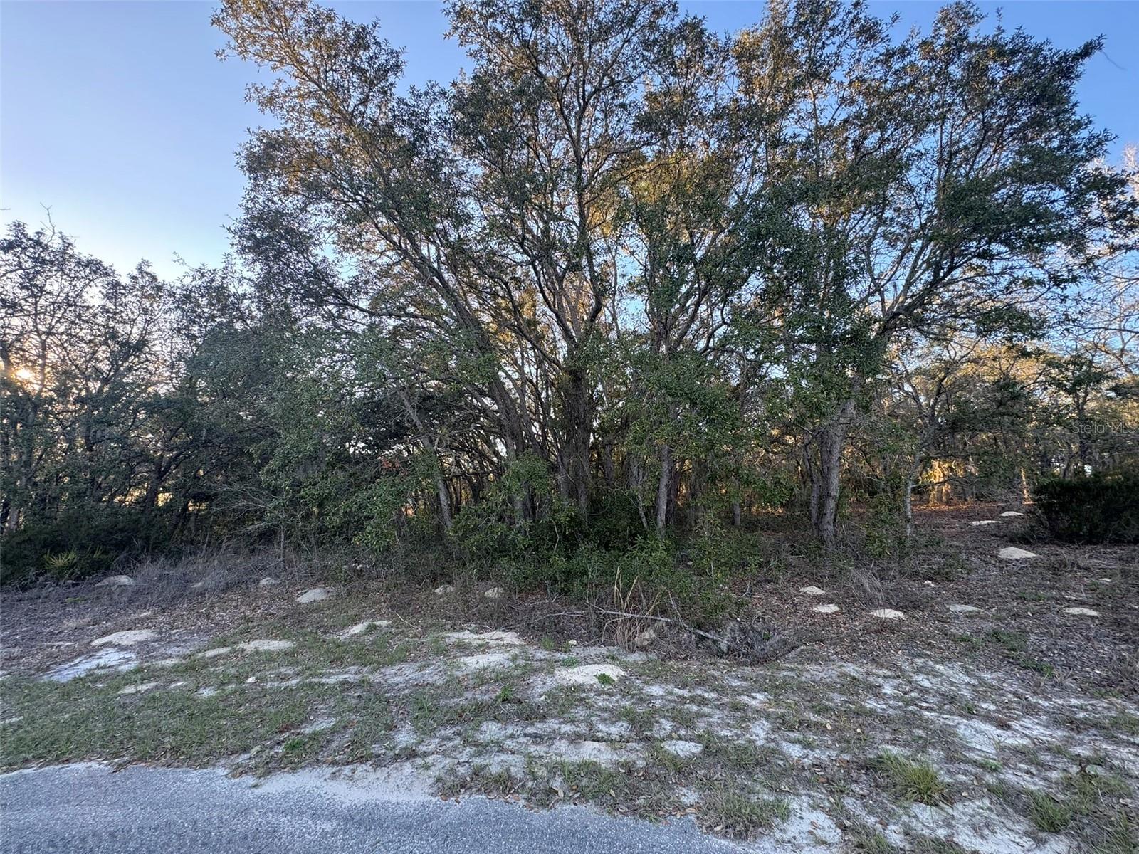 Image 3 of 5 For 0 147th Street Road