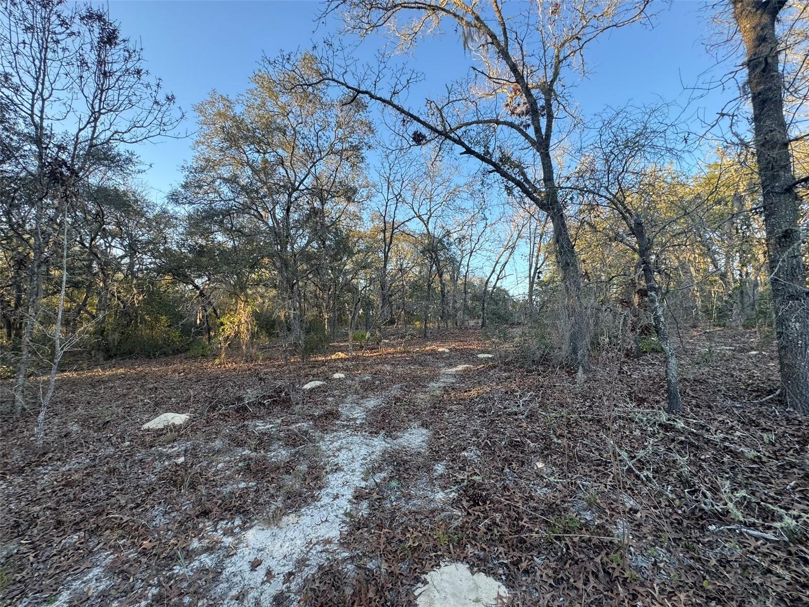Image 4 of 5 For 0 147th Street Road