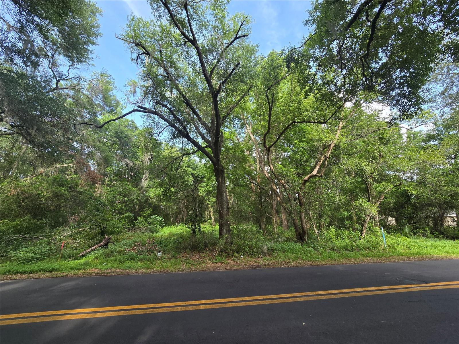 Image 2 of 10 For Tbd St Clair Street