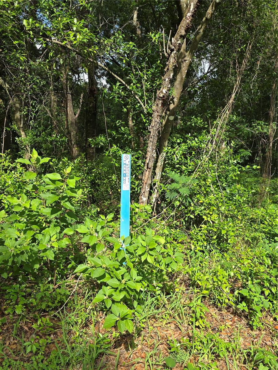 Image 5 of 10 For Tbd St Clair Street