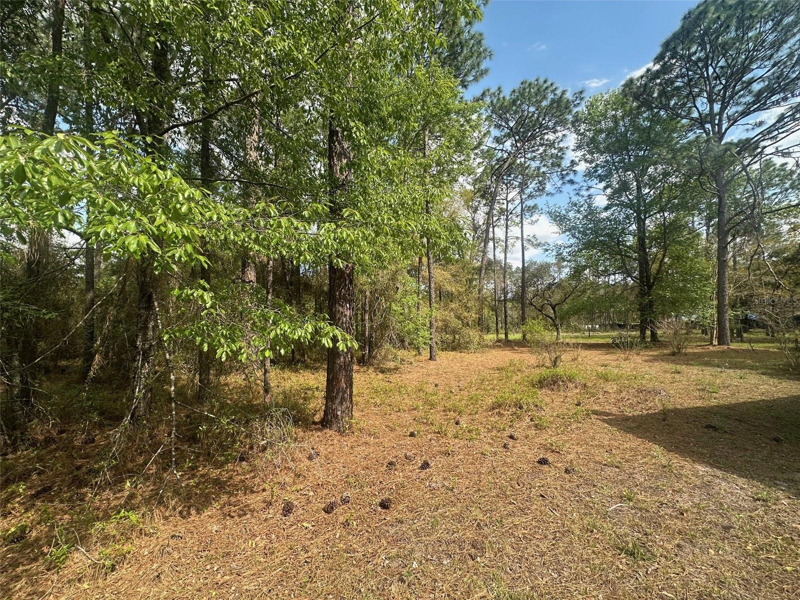 Image 12 of 39 For 3700 189th Avenue