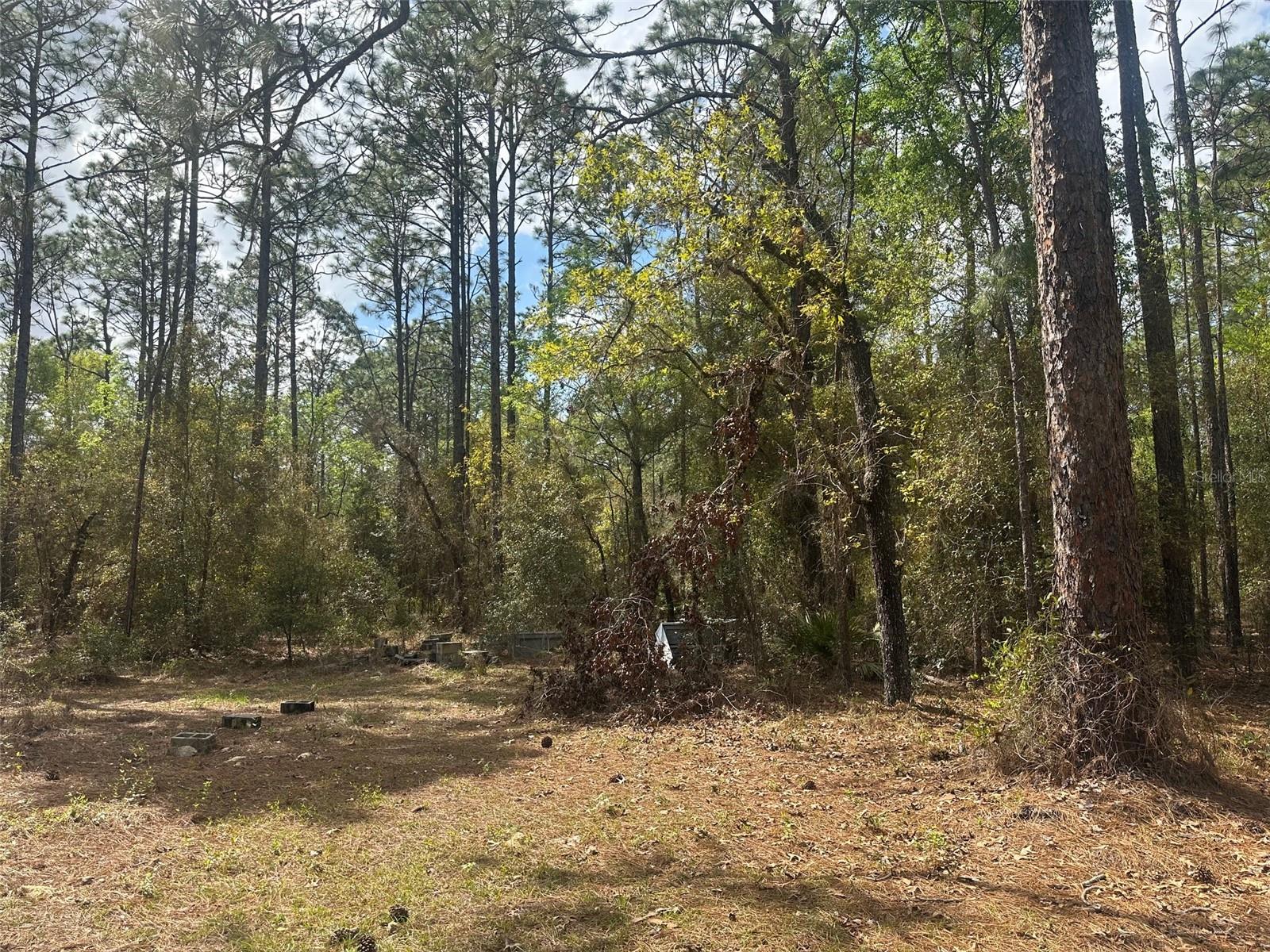 Image 23 of 39 For 3700 189th Avenue