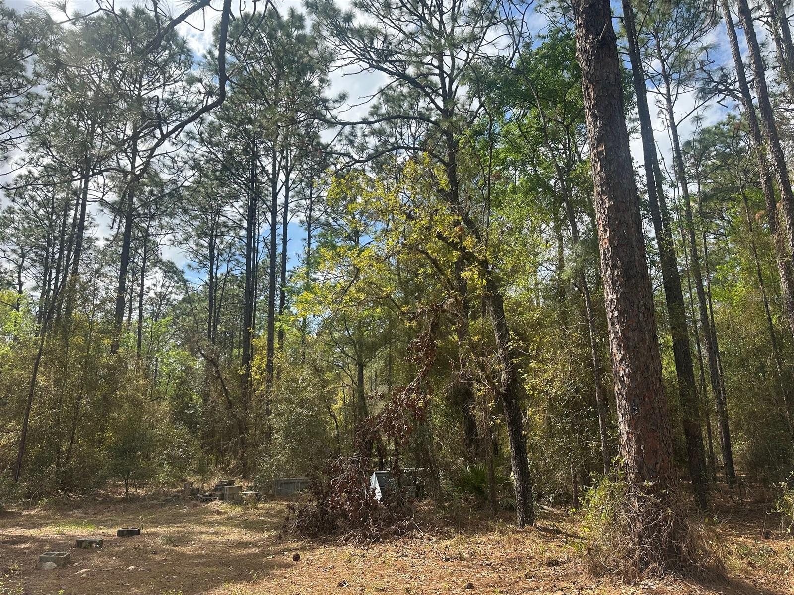 Image 24 of 39 For 3700 189th Avenue