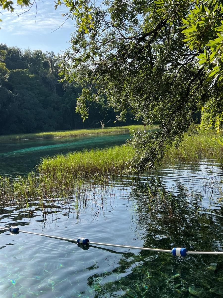 Image 12 of 16 For 0000 Rainelle Road