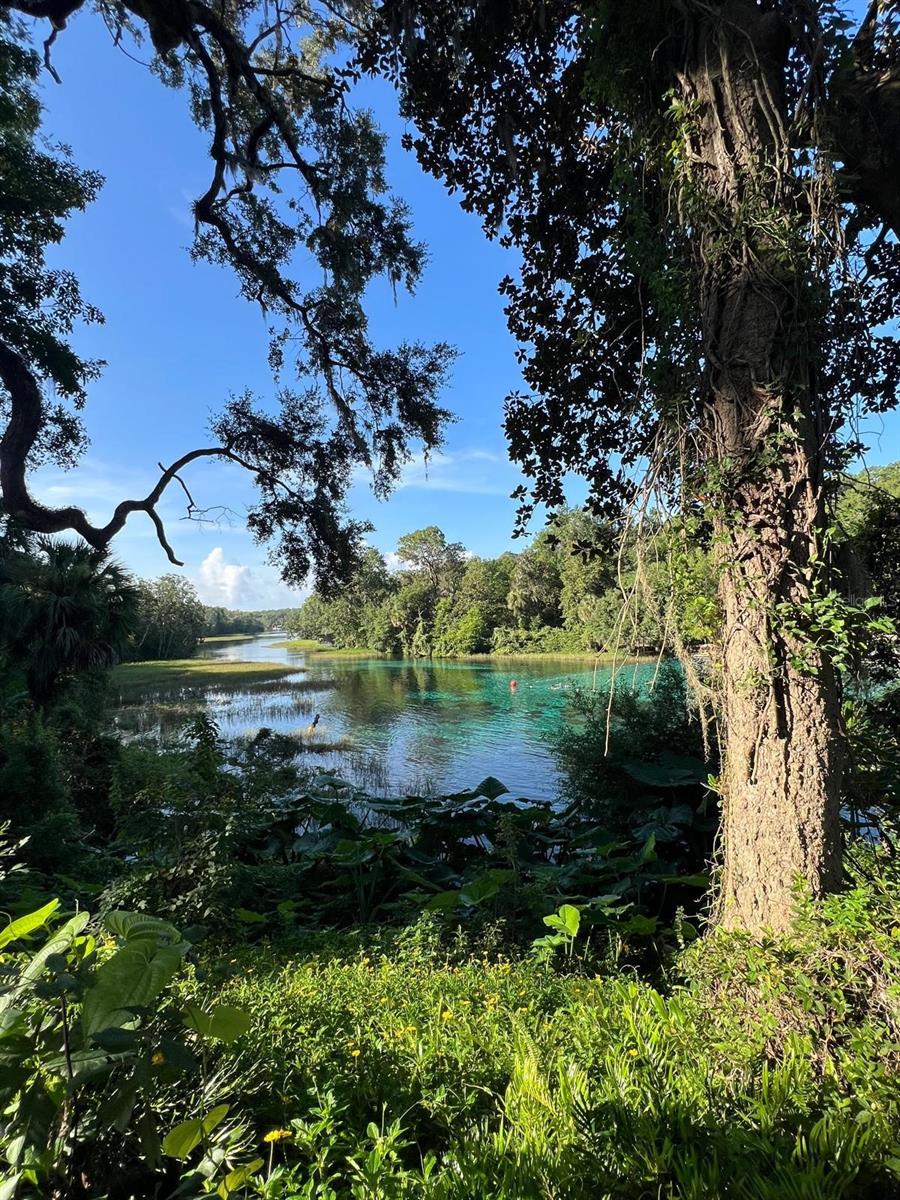 Image 14 of 16 For 0000 Rainelle Road