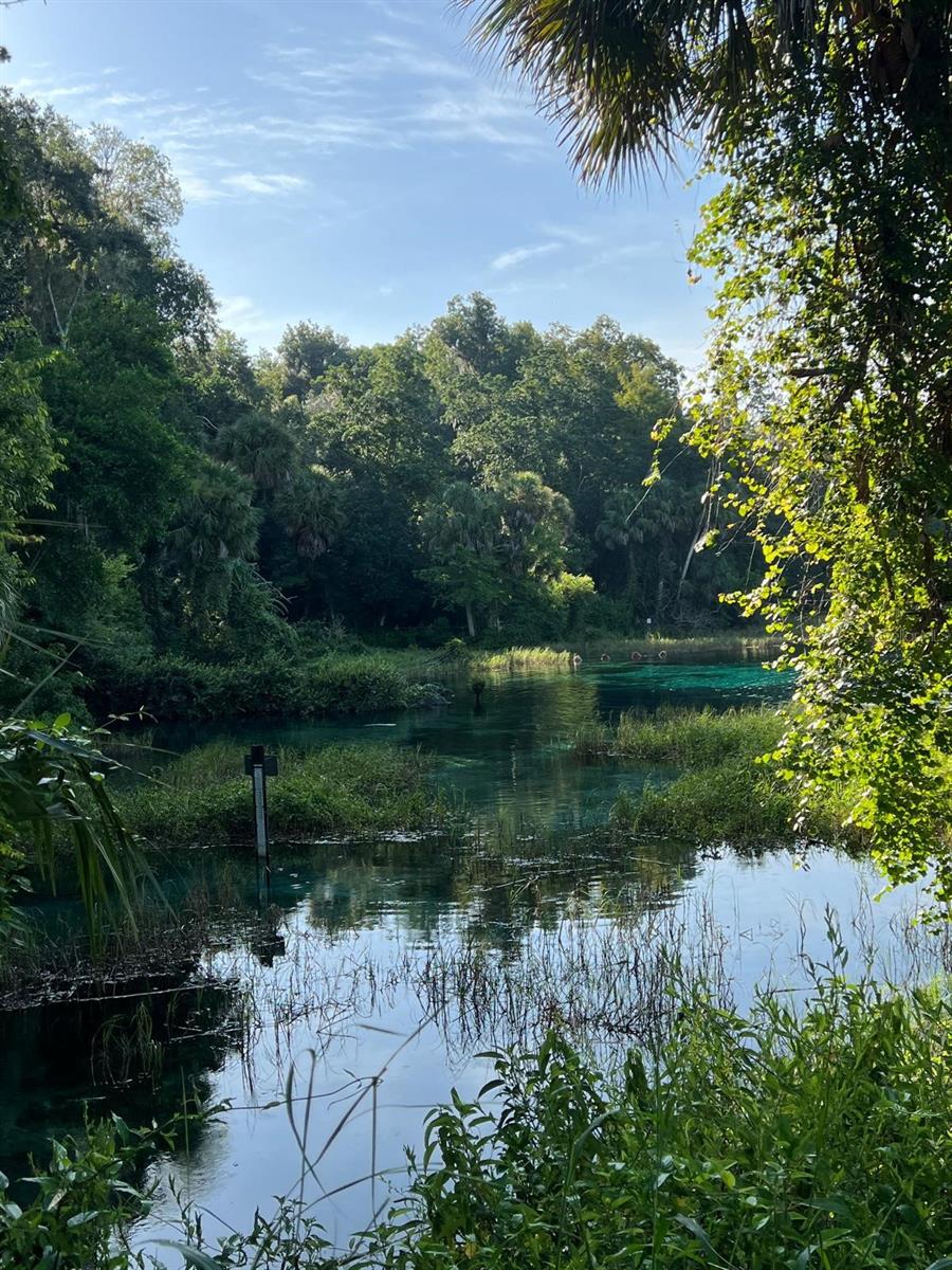 Image 15 of 16 For 0000 Rainelle Road