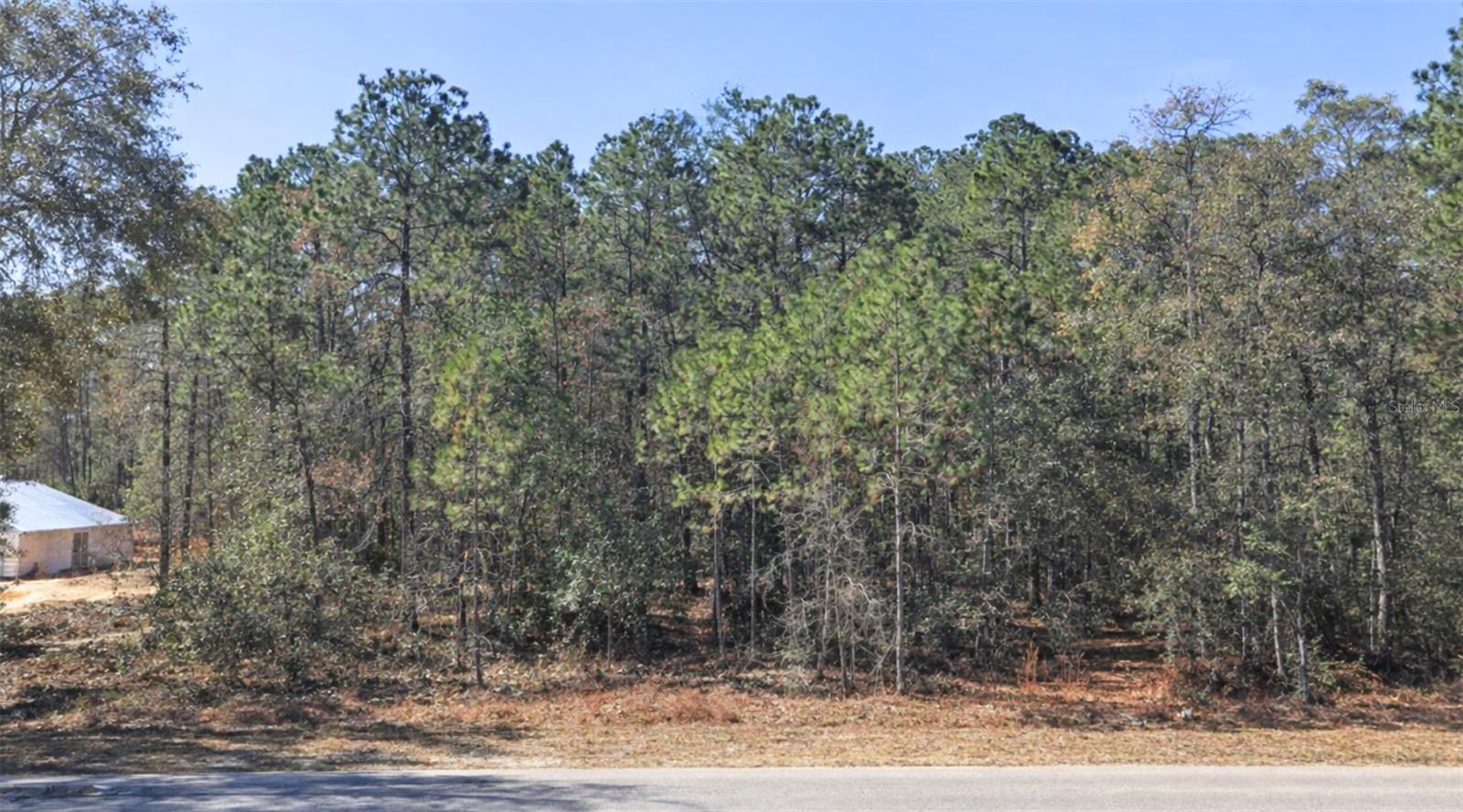 Image 3 of 16 For 0000 Rainelle Road