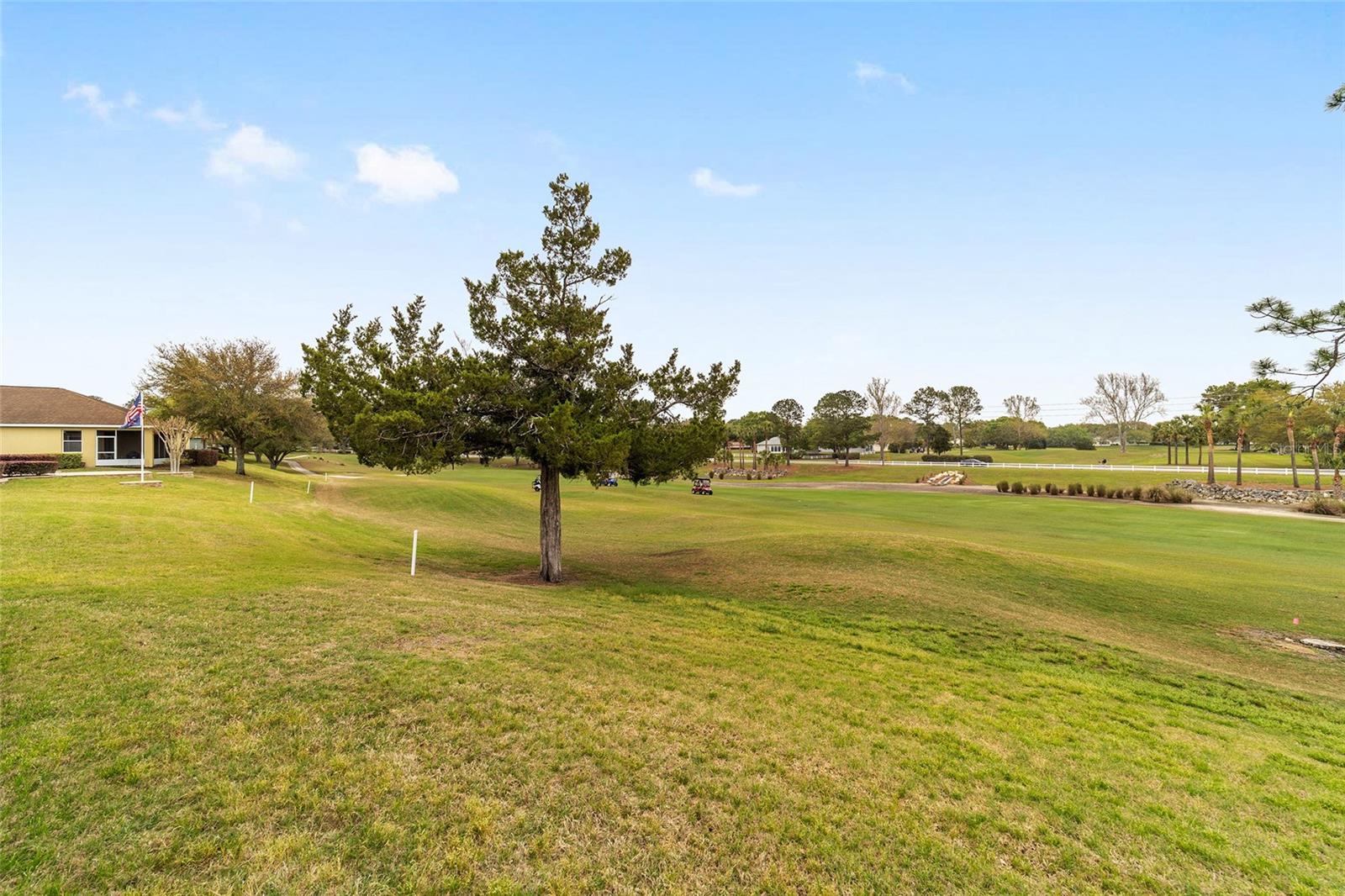 Image 15 of 64 For 9299 94th Loop