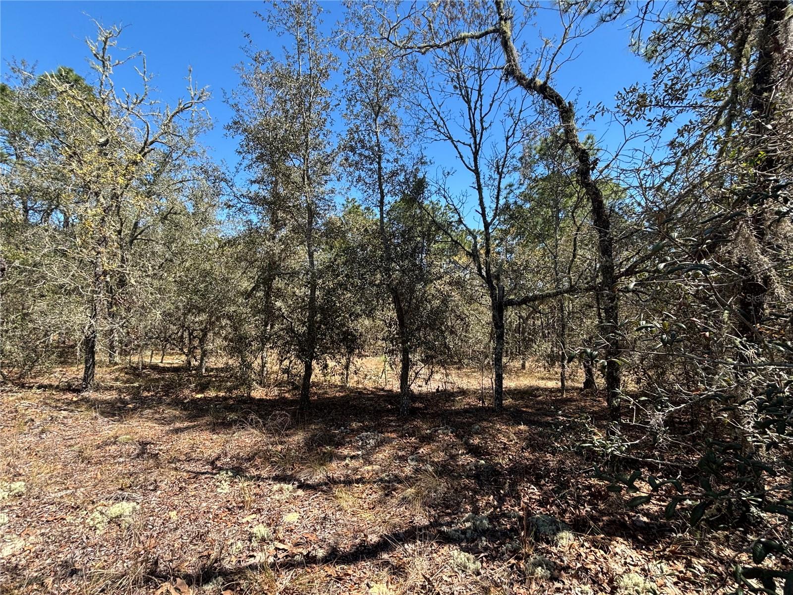 Details for 0000 Hillcrest Avenue, DUNNELLON, FL 34431