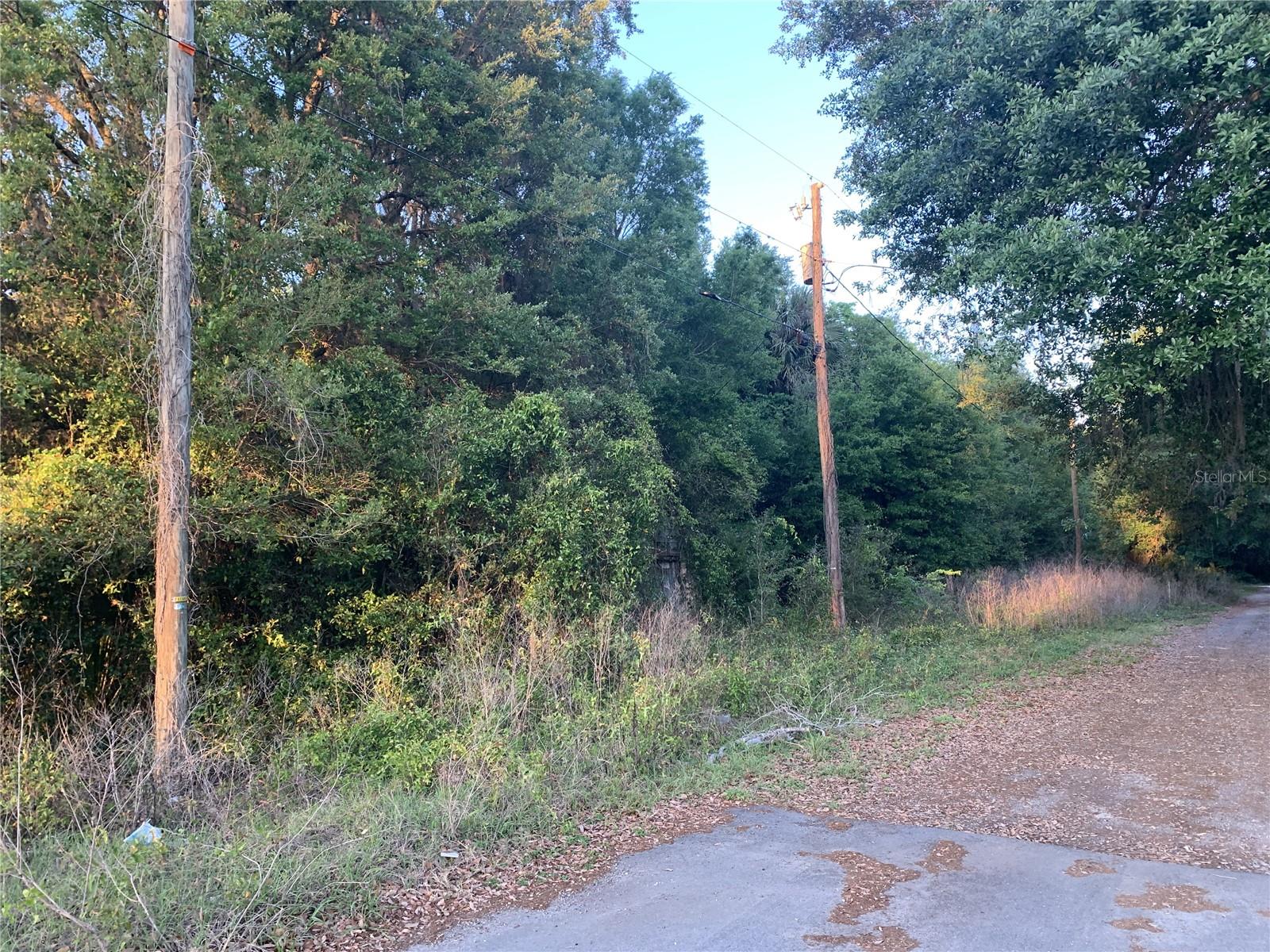 Image 11 of 18 For 18111 Us Hwy 301