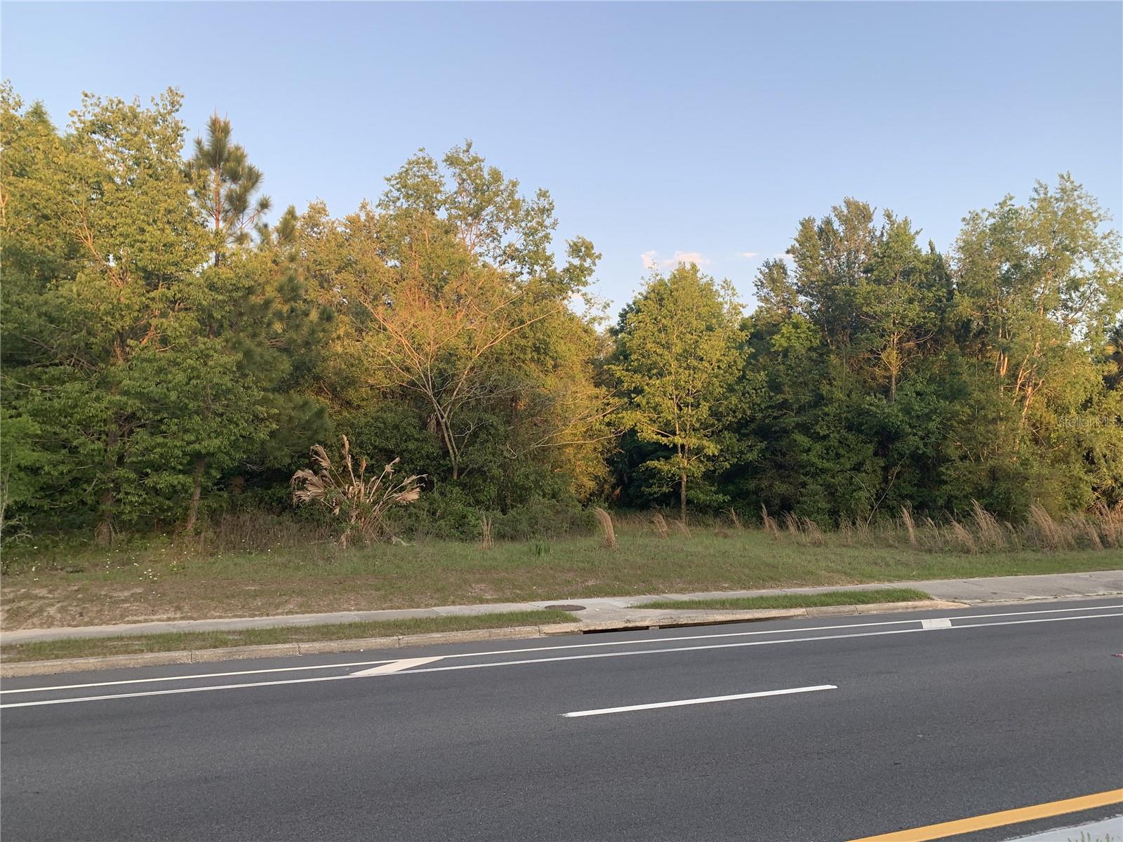 Image 15 of 18 For 18111 Us Hwy 301