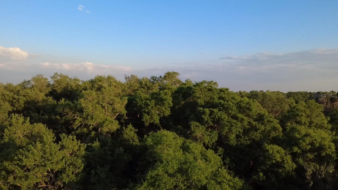 Image 2 of 18 For 18111 Us Hwy 301