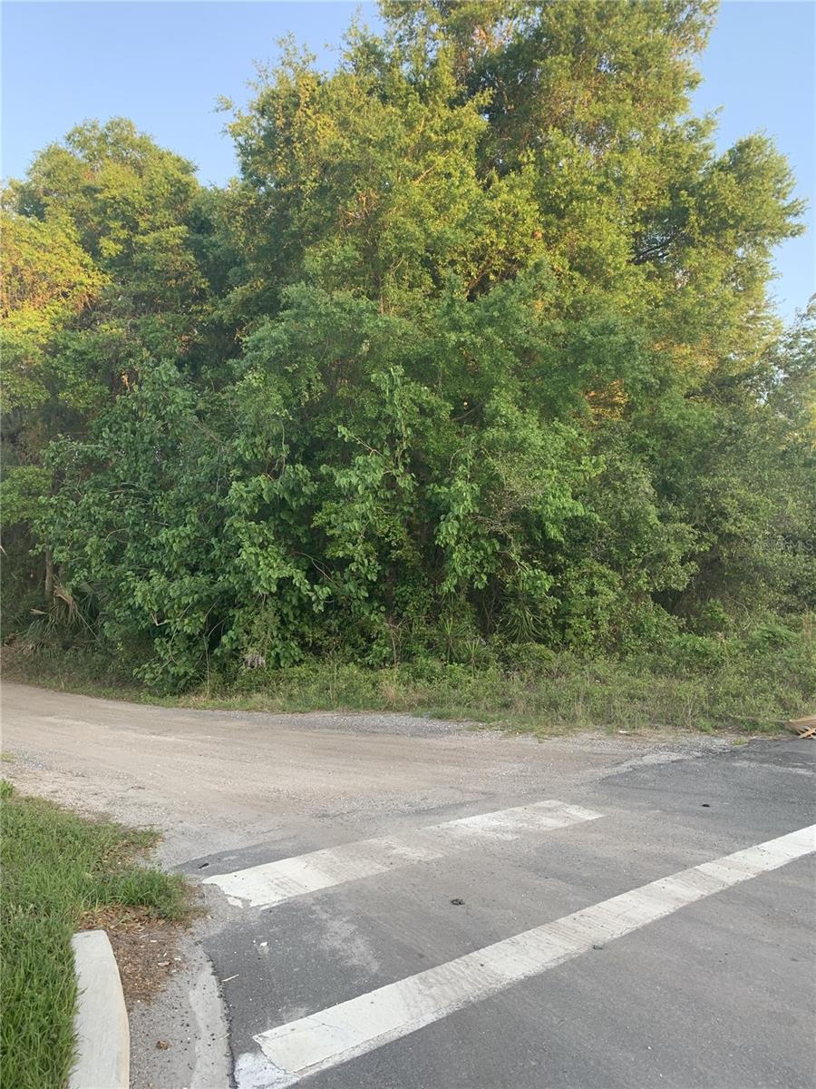 Image 5 of 18 For 18111 Us Hwy 301