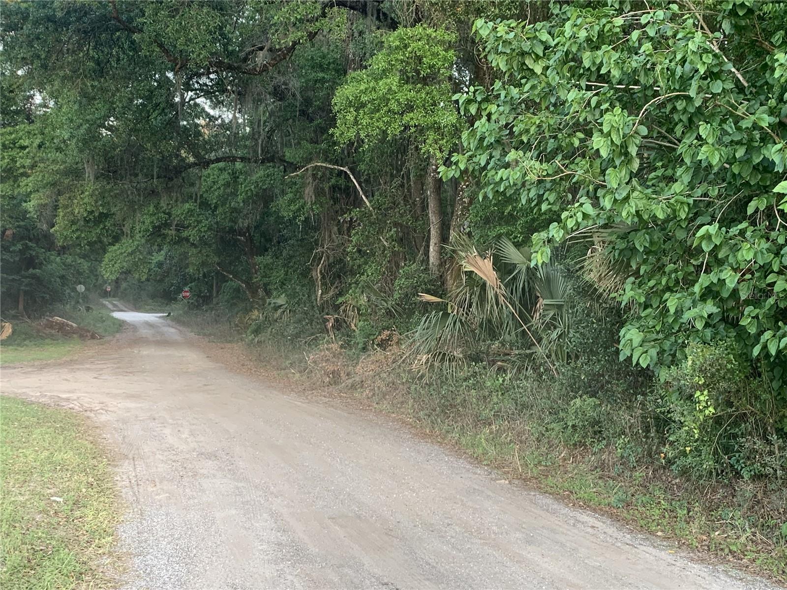 Image 6 of 18 For 18111 Us Hwy 301