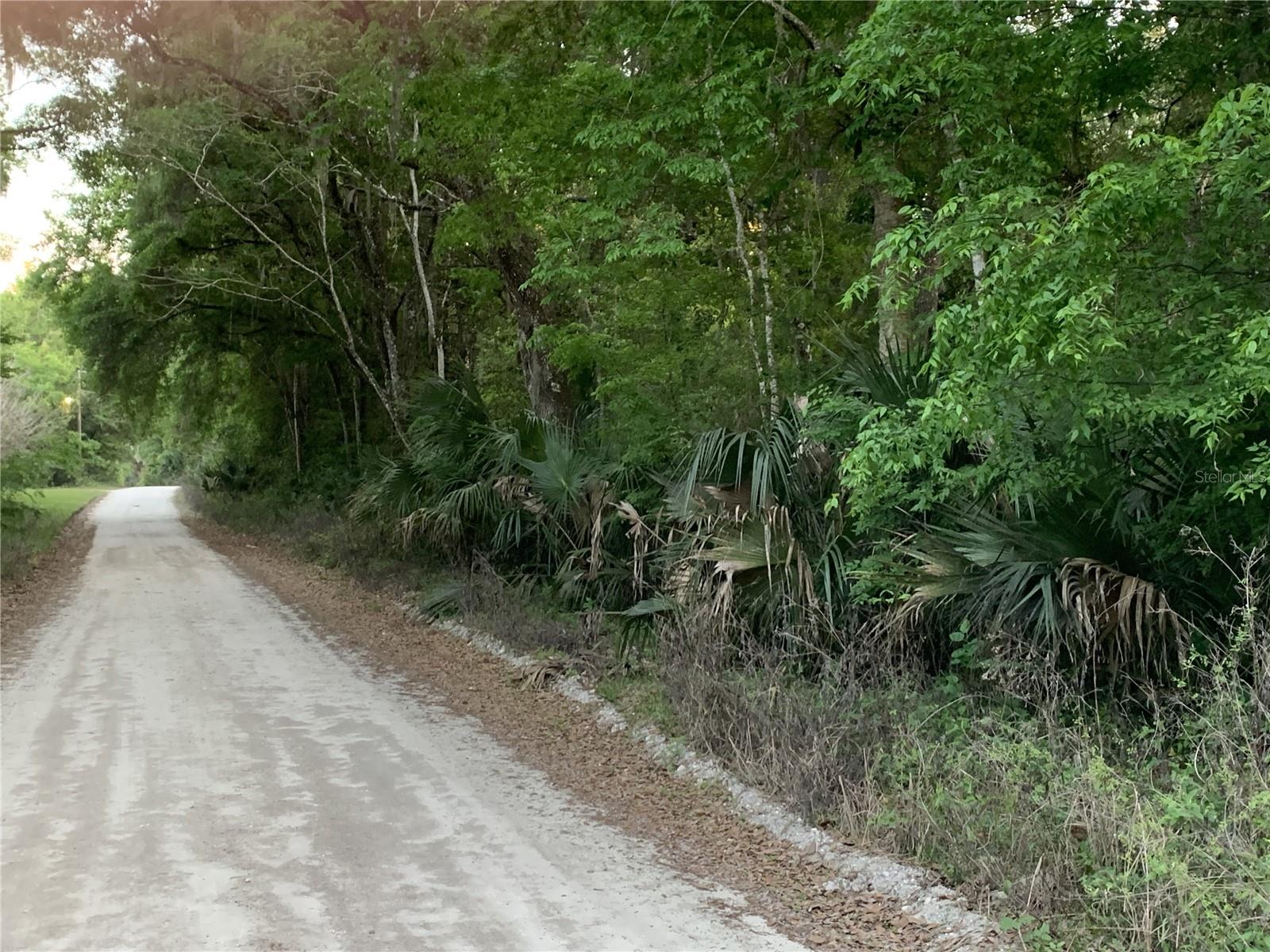 Image 9 of 18 For 18111 Us Hwy 301