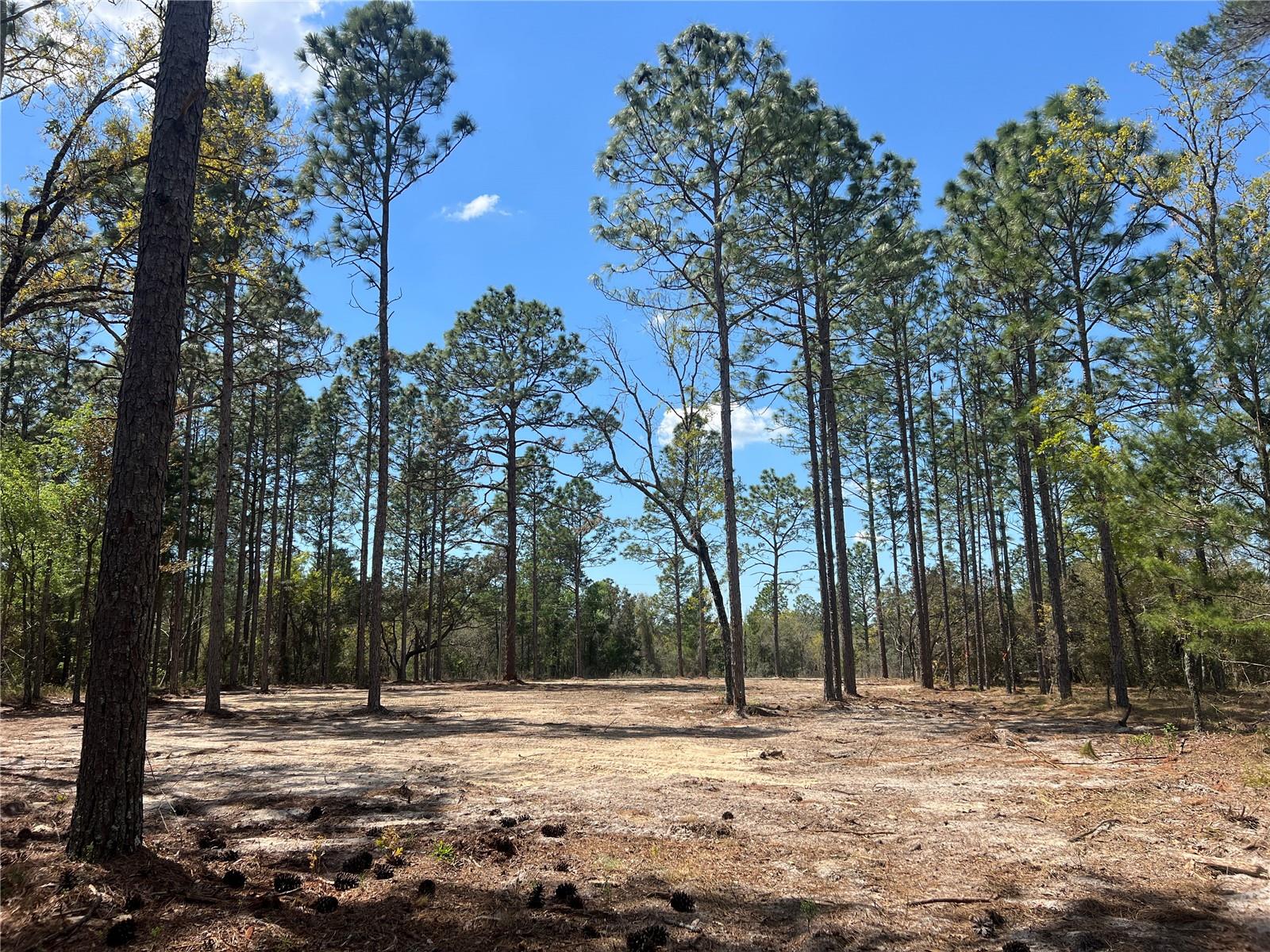 Image 10 of 29 For 16 136 Terrace