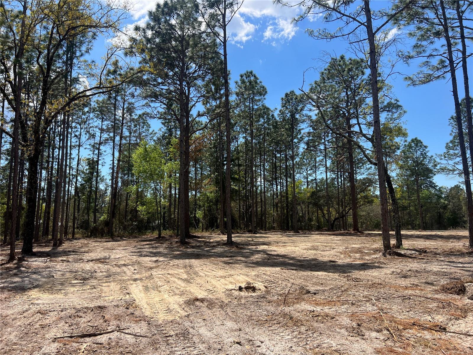 Image 11 of 29 For 16 136 Terrace