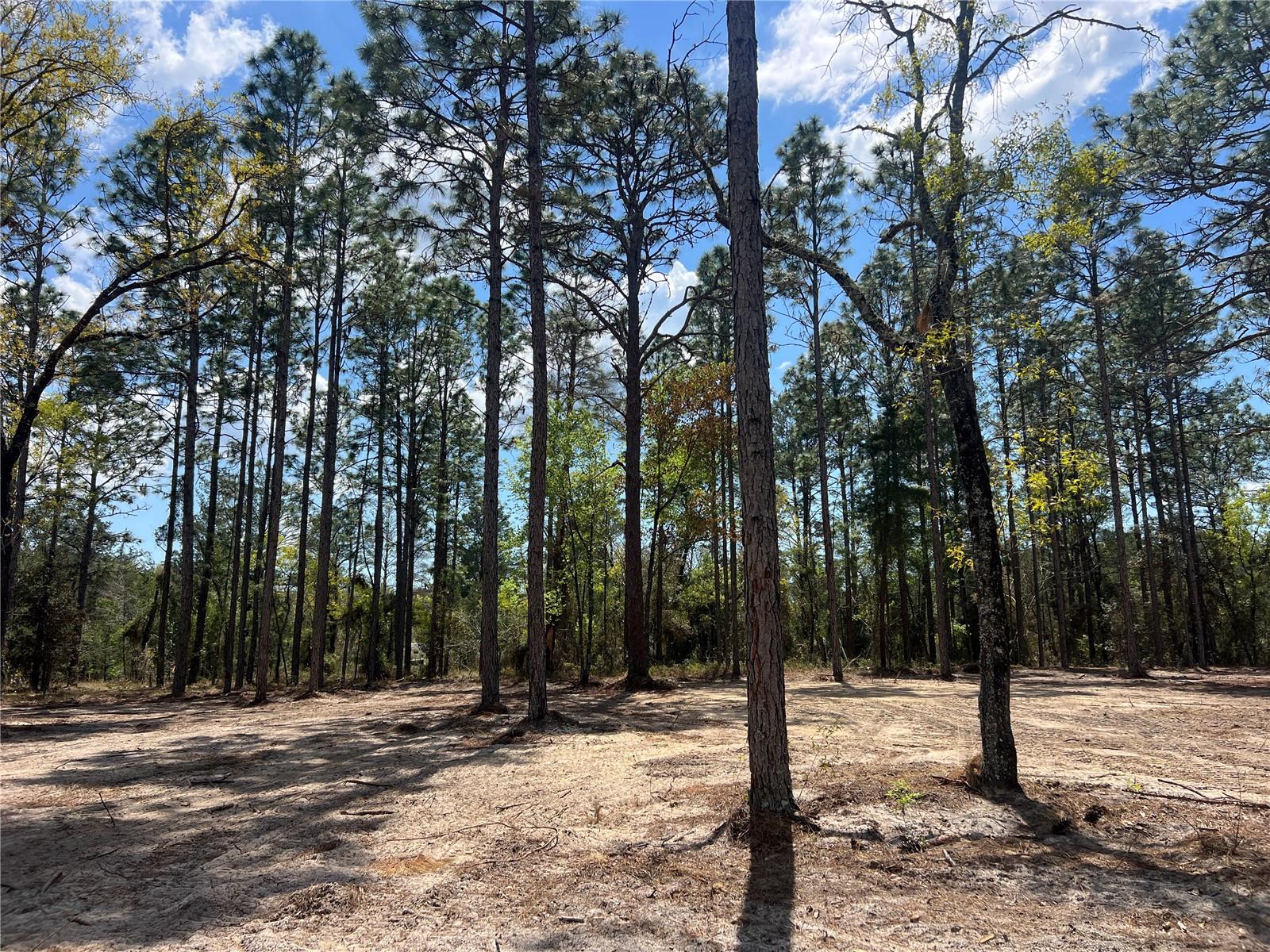 Image 12 of 29 For 16 136 Terrace