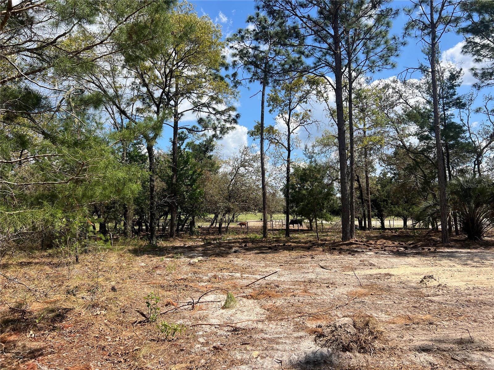 Image 14 of 29 For 16 136 Terrace