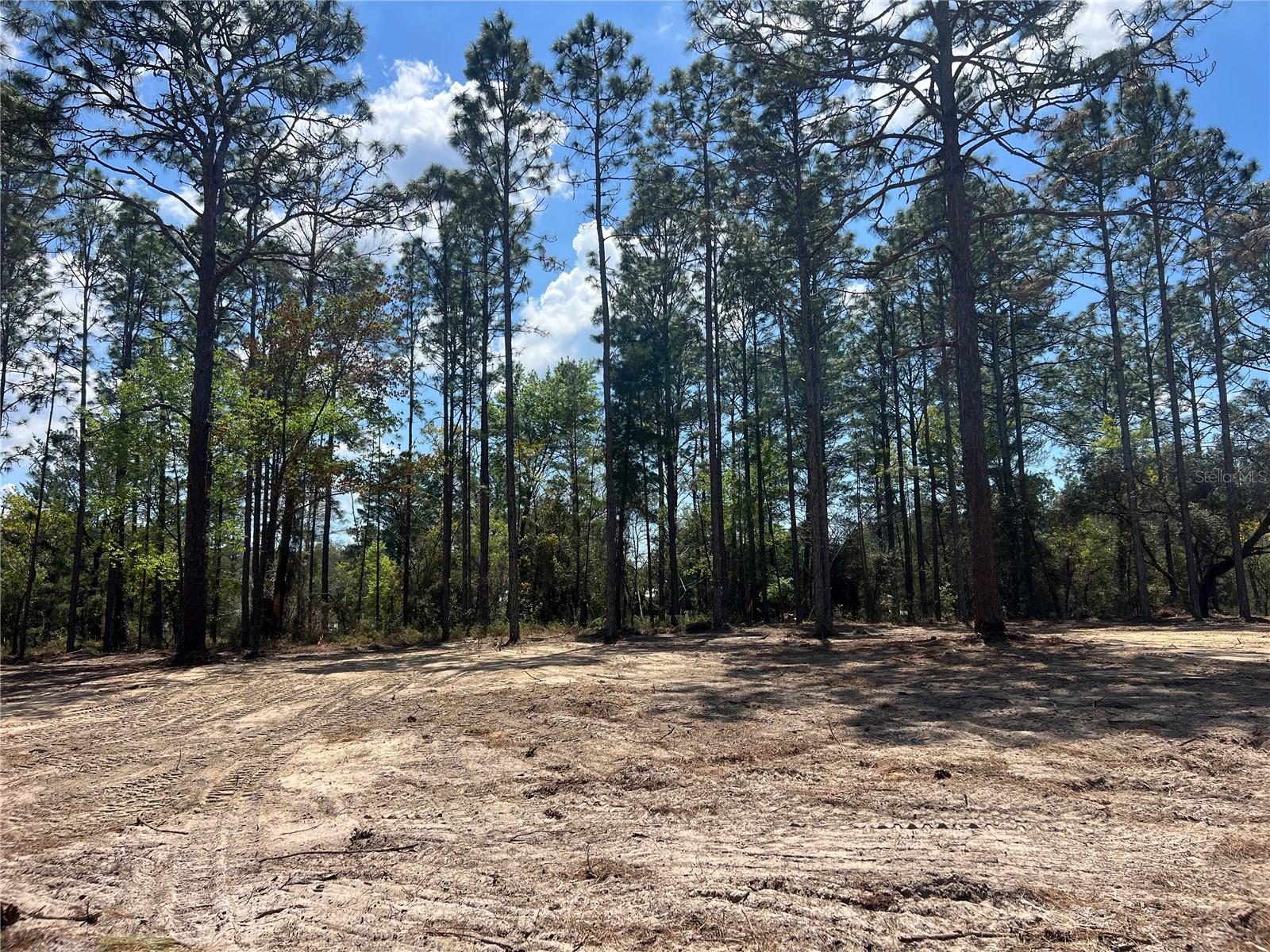 Image 15 of 29 For 16 136 Terrace