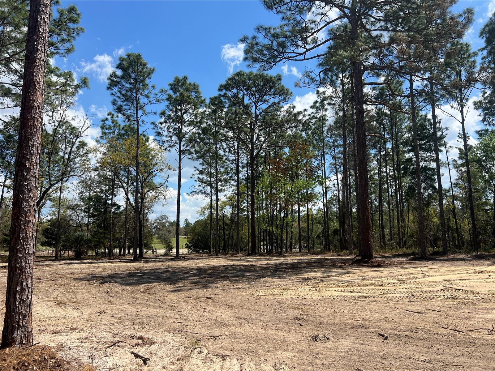 Image 17 of 29 For 16 136 Terrace