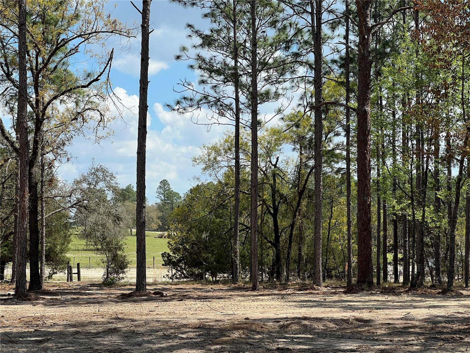 Image 18 of 29 For 16 136 Terrace