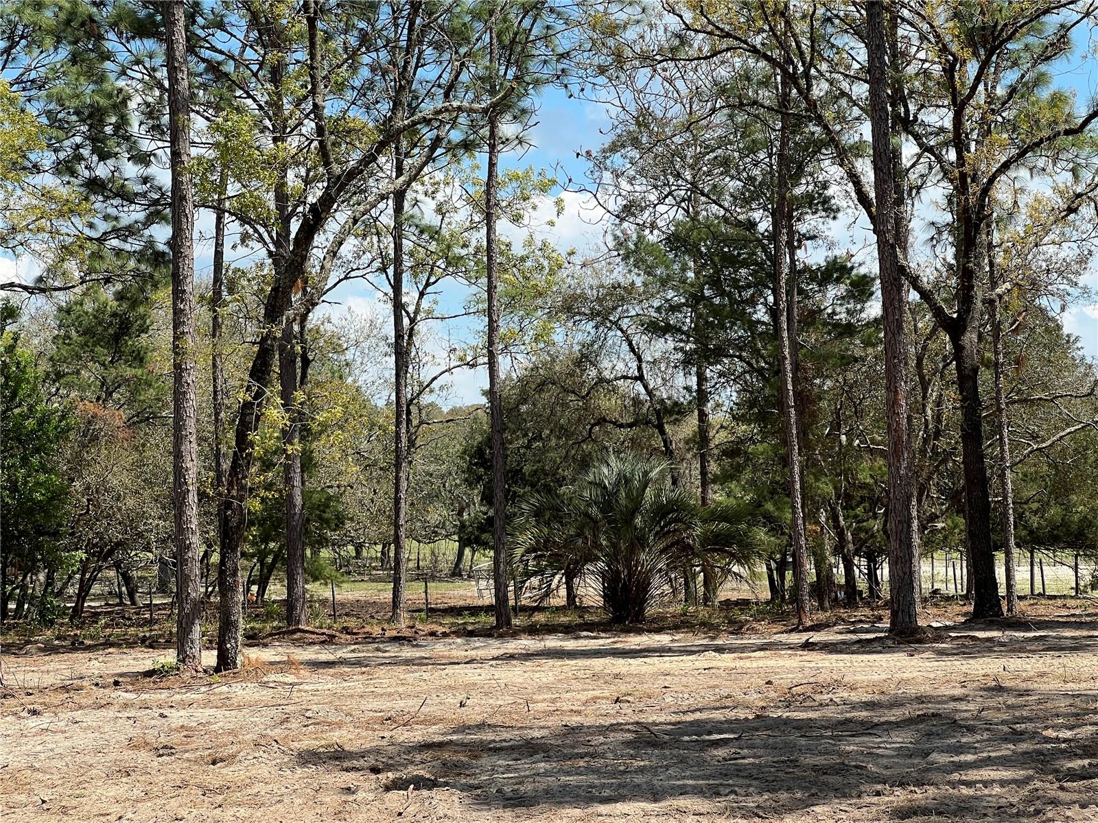 Image 19 of 29 For 16 136 Terrace