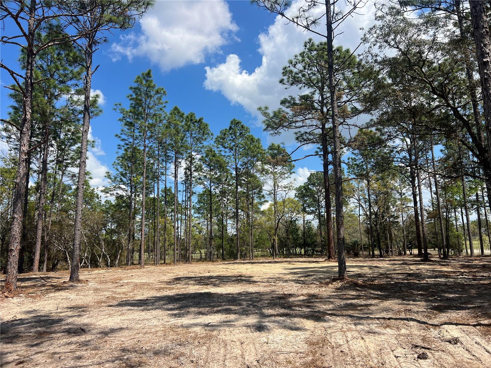 Image 2 of 29 For 16 136 Terrace