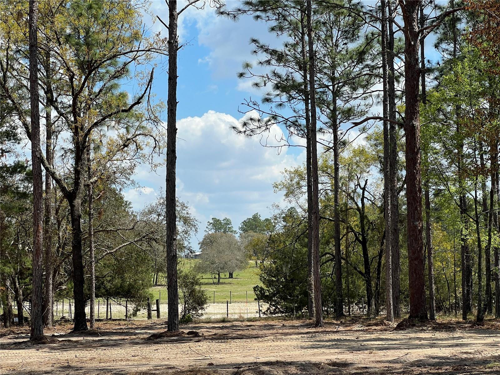 Image 20 of 29 For 16 136 Terrace