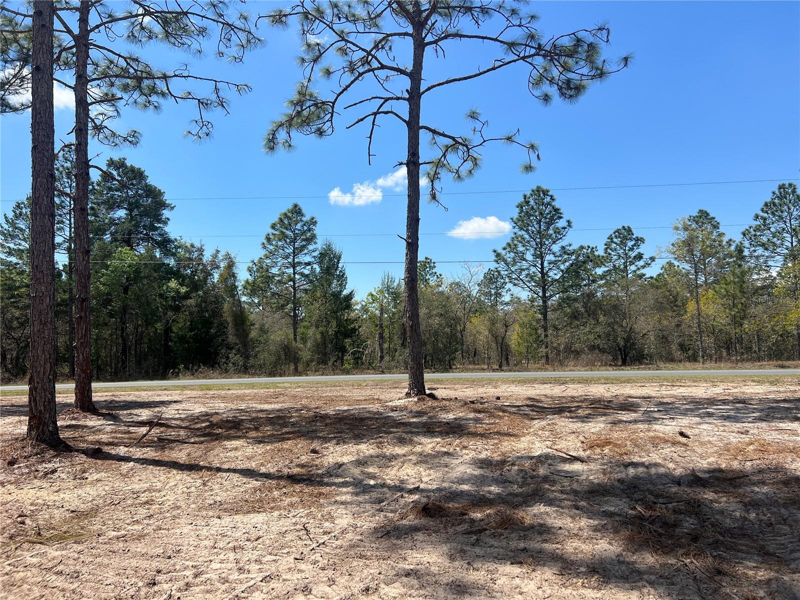 Image 21 of 29 For 16 136 Terrace