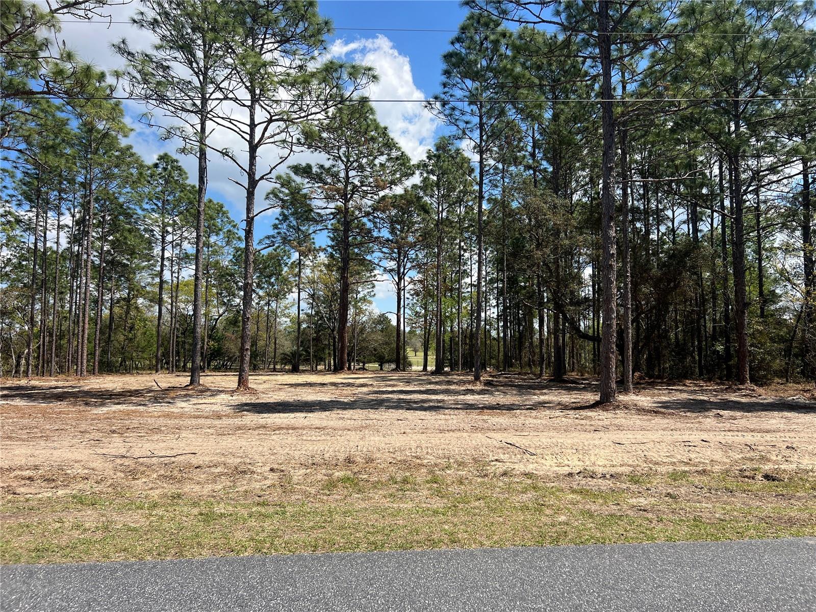 Image 23 of 29 For 16 136 Terrace