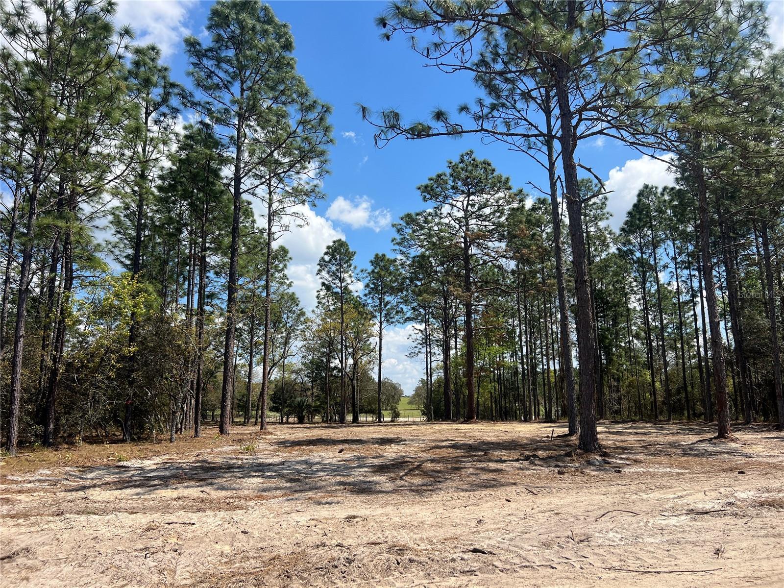 Image 24 of 29 For 16 136 Terrace