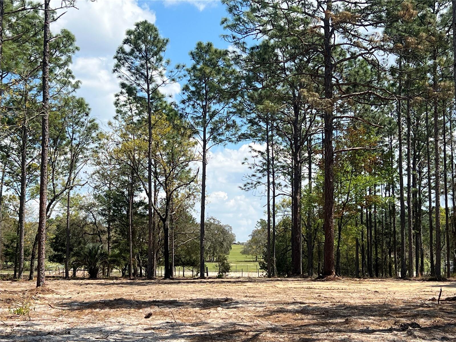 Image 25 of 29 For 16 136 Terrace