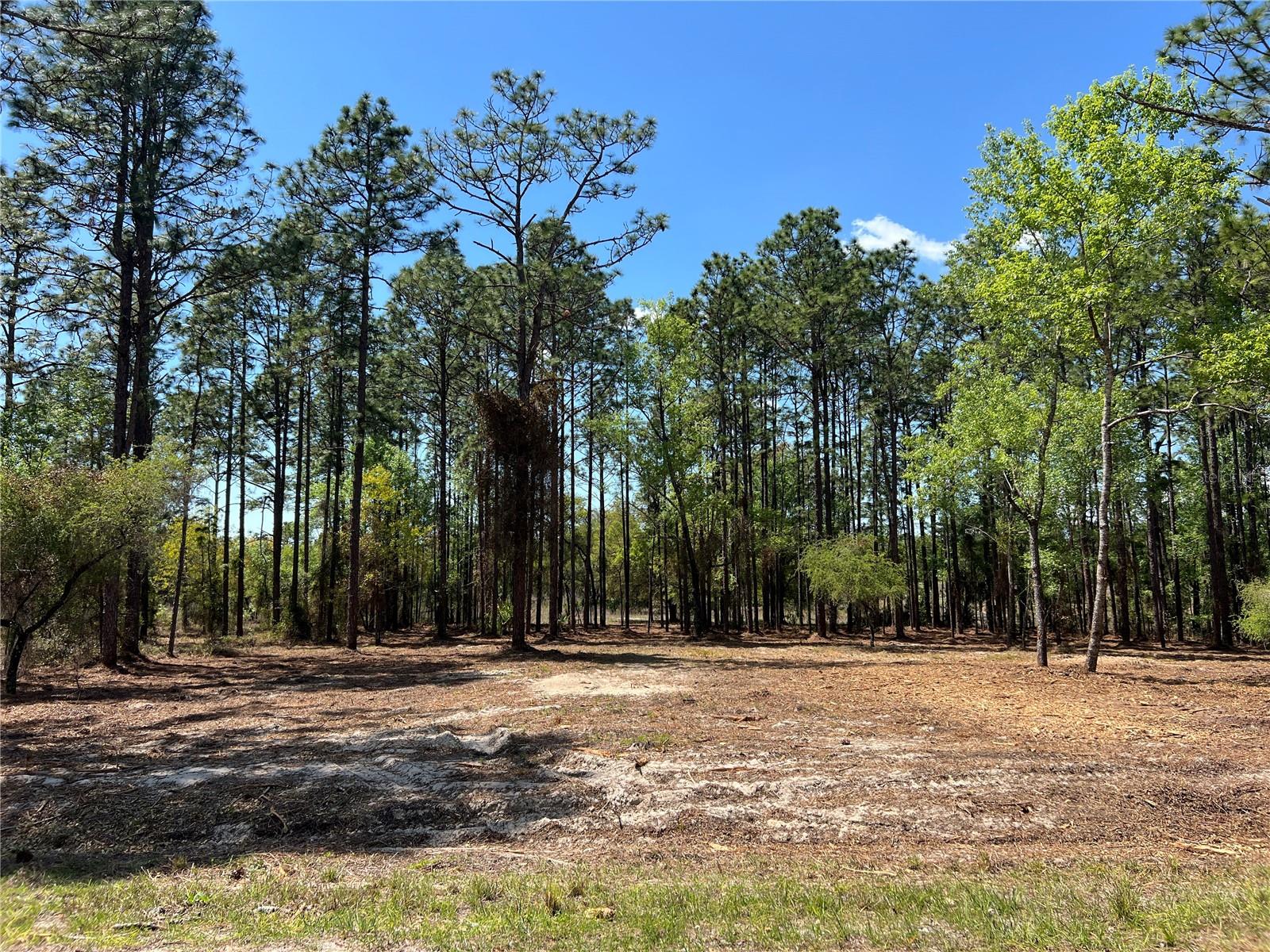 Image 27 of 29 For 16 136 Terrace