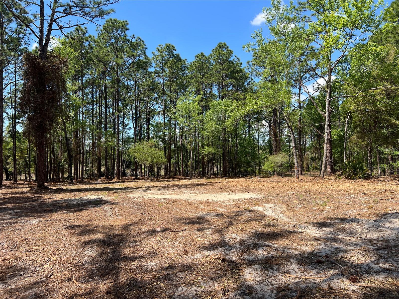 Image 29 of 29 For 16 136 Terrace