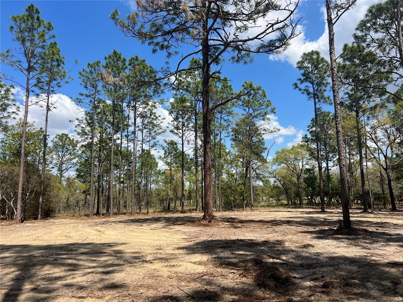 Image 3 of 29 For 16 136 Terrace