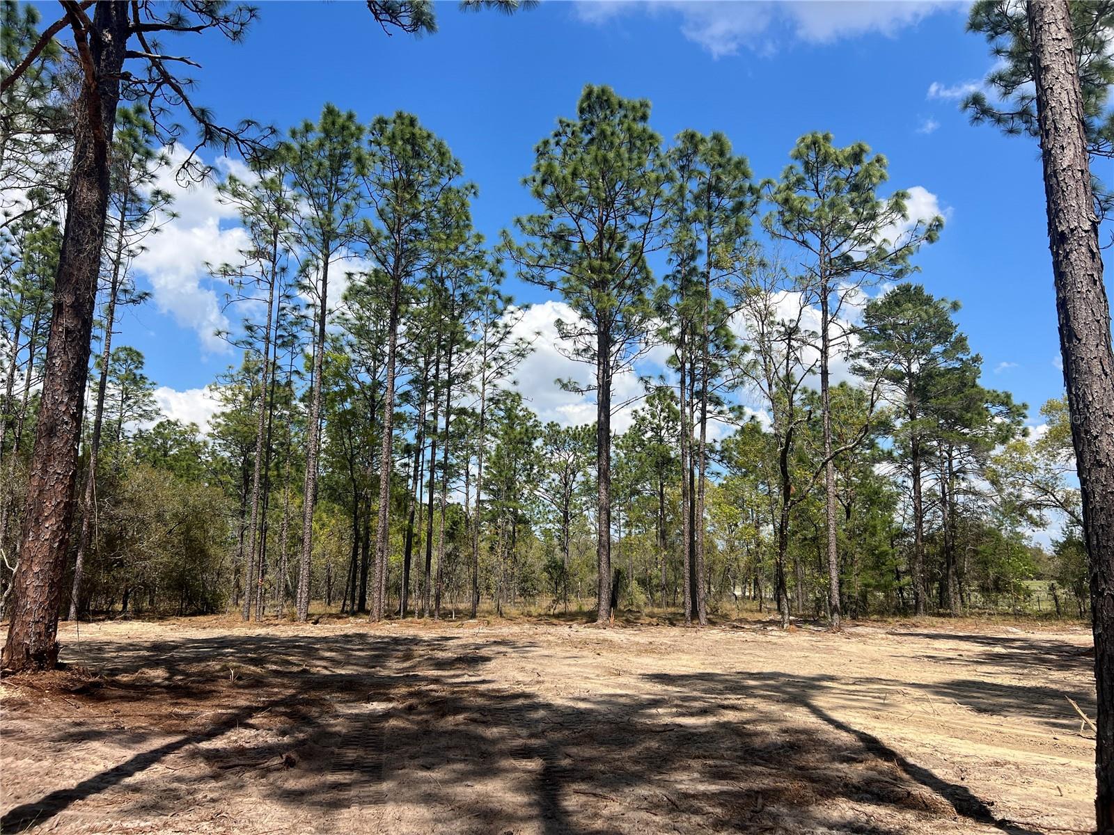 Image 4 of 29 For 16 136 Terrace