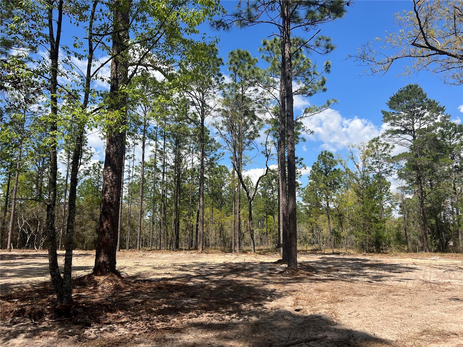 Image 5 of 29 For 16 136 Terrace