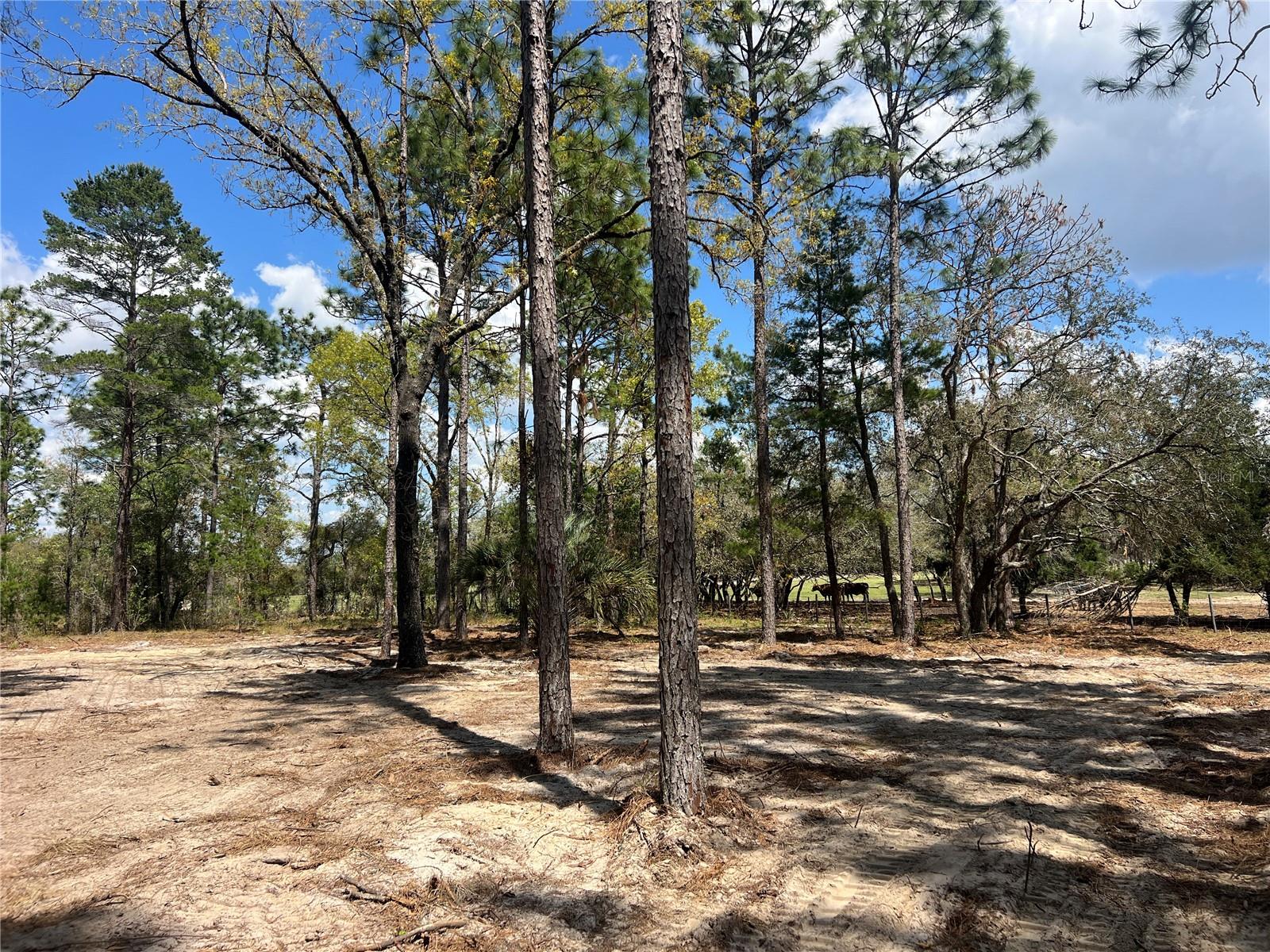 Image 6 of 29 For 16 136 Terrace